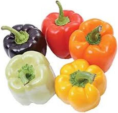 67. Simla colour (250 gm)